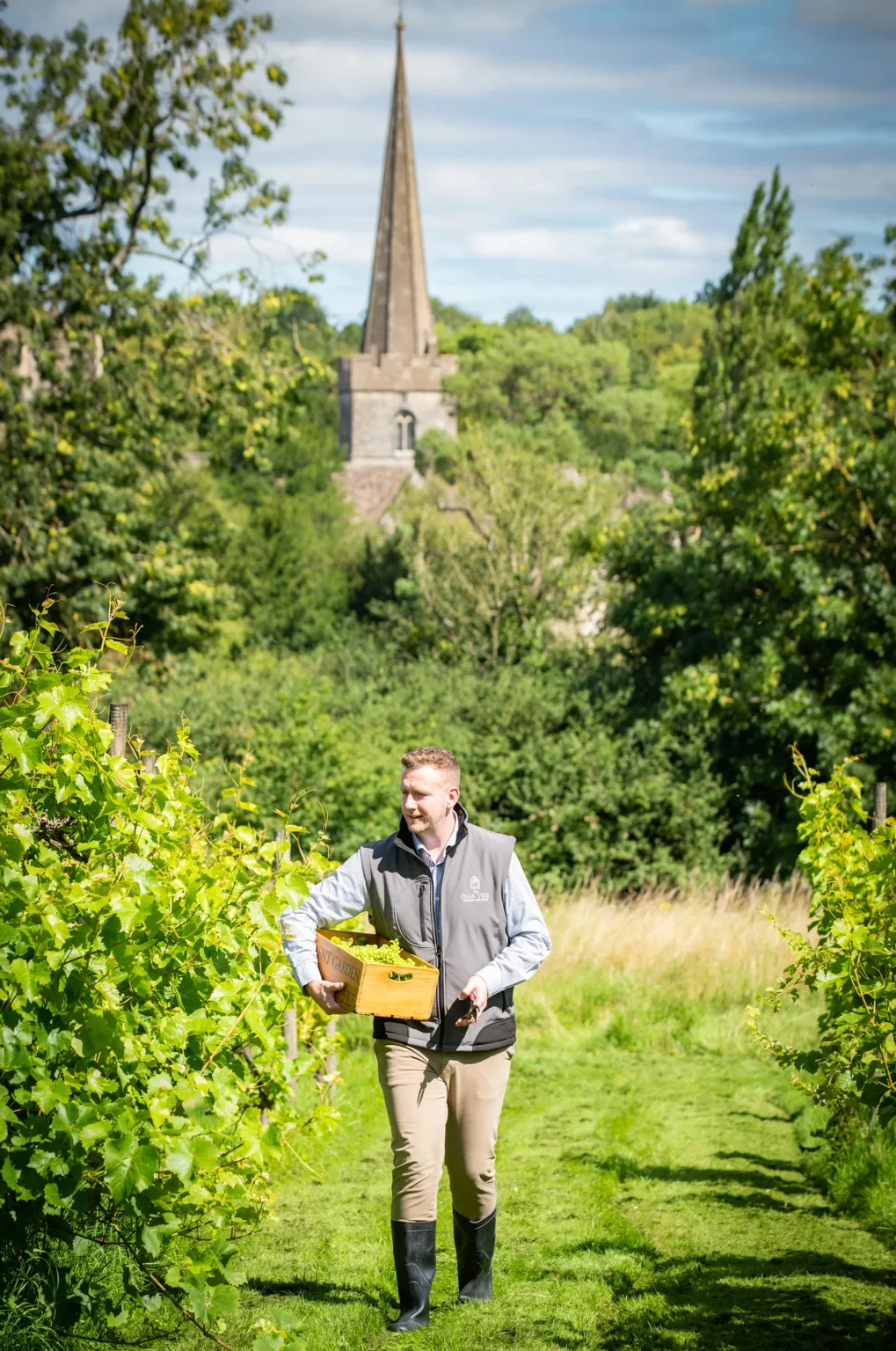 The Pear Tree Purton careers team vineyard