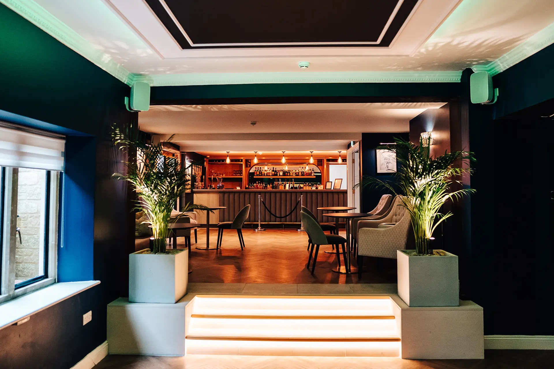 the pear tree bartlett bar