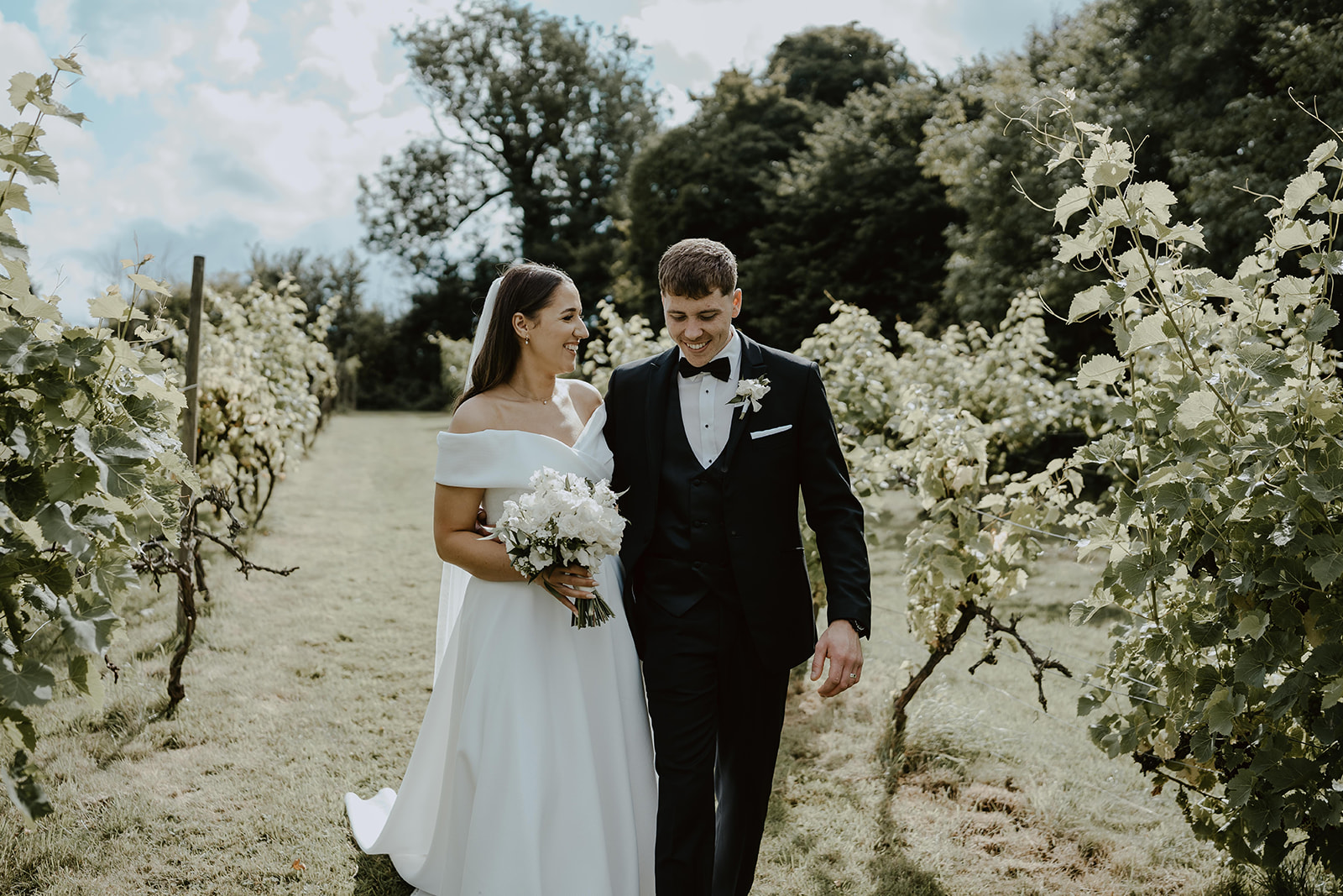 The Pear Tree vineyard summer